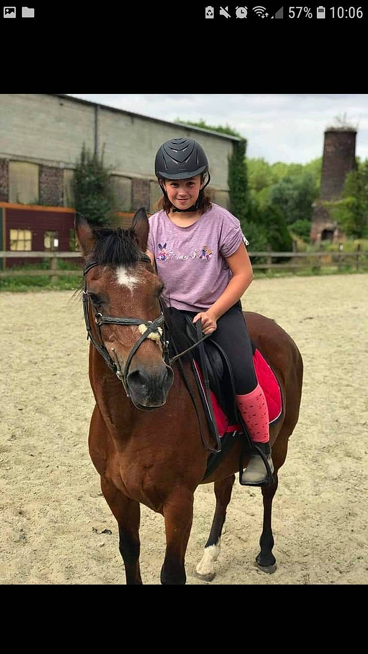 Galopin participe au concours pour gagner de l'argent avec cette photo : animal_sports, bridle, equestrian, equestrian_sport, equestrianism, equitation, halter, horse, horse_supplies, horse_tack, jockey, mammal, mane, mare, outdoor_recreation, recreation, rein, saddle, stallion, vertebrate