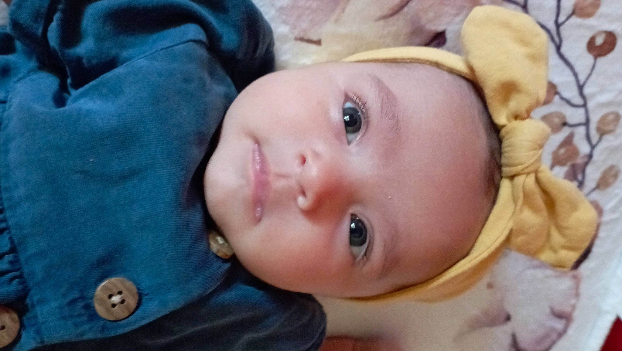 Alma participe au concours pour gagner de l'argent avec cette photo : baby, cheek, chin, eye, eyebrow, eyelash, facial_expression, hat, head, headgear, iris, lip, mammal, mouth, nose, person, plant, skin, smile, vertebrate