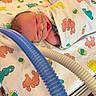 newborn, baby, infant, sleeping, hospital, bassinet, incubator, medical_equipment, breathing_tube, oxygen_tubing, blanket, patterned_blanket, face, closed_eyes, portrait, indoor, nursery, healthcare, pediatric_care, resting