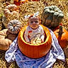 baby, child, pumpkin, pumpkin_patch, gourds, hay, autumn, halloween, costume, bow, infant, sitting, portrait, outdoor, farm, harvest, orange, blanket, smiling, seasonal
