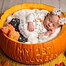 newborn, baby, sleeping, pumpkin, halloween, portrait, infant, bow, headband, blanket, costume, stuffed_animal, orange, autumn, leaves, cozy, indoors, basket, carved_pumpkin, holiday
