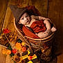 Jae-Oh participe au concours pour gagner de l'argent avec cette photo : baby, autumn, basket, fall_leaves, pinecones, pumpkins, knitted_hat, scarf, glasses, wooden_floor, brown, orange, cozy, portrait, child, cute, seasonal, props, warm_colors, indoor