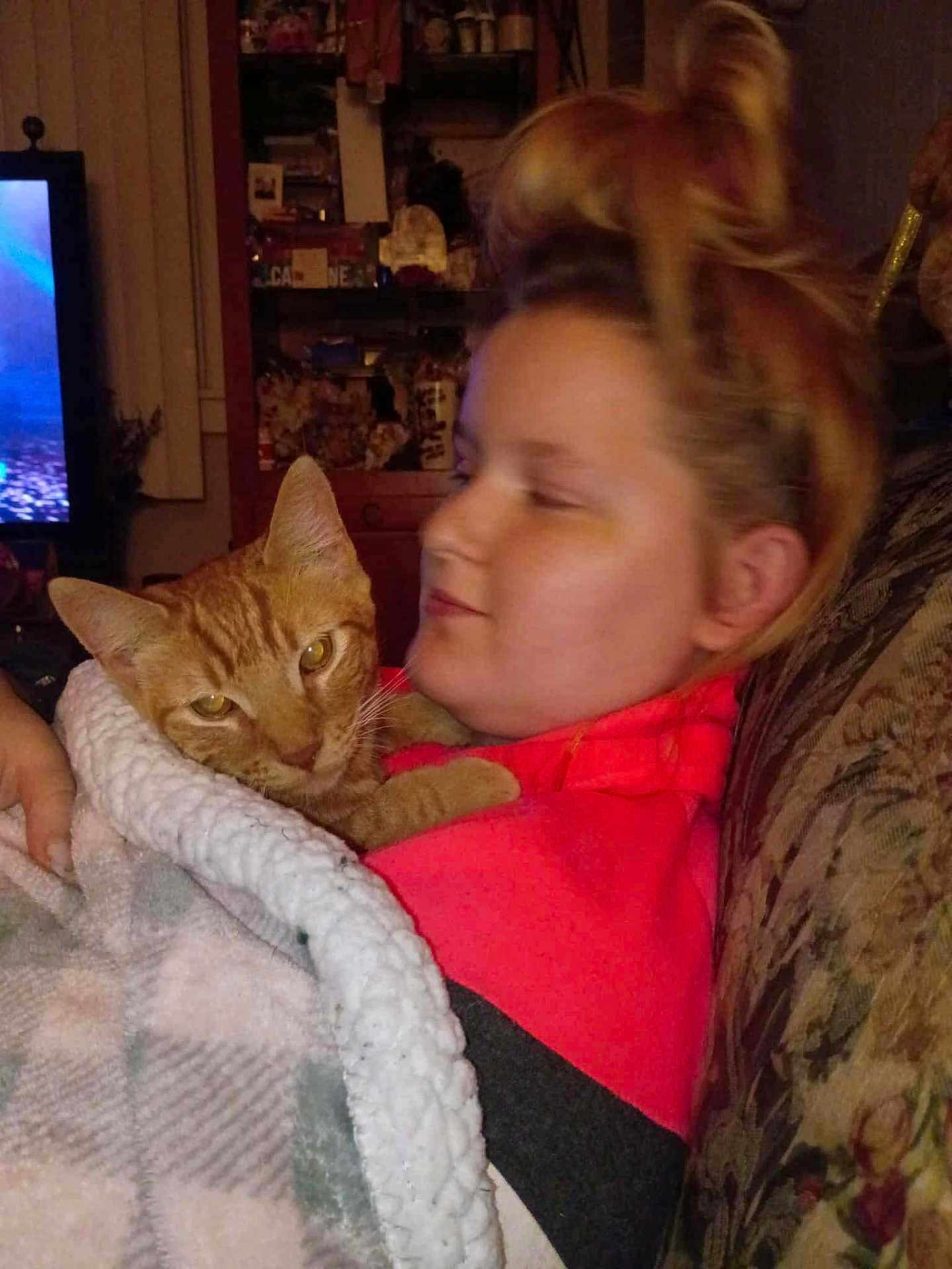 Garfield is registered to the contest to win money with this photo: person, cat, blanket, orange_tabby, couch, indoor, cozy, snuggling, relaxed, warm, furniture, home, portrait, comfort, feline, pet, casual, hair_tie, sweatshirt, living_room
