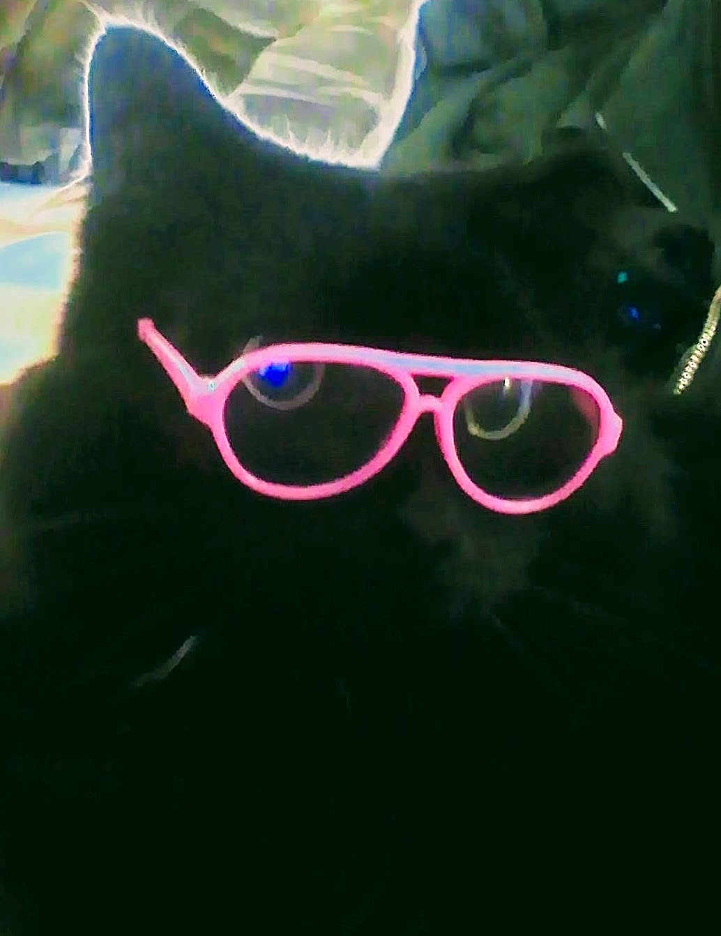 Mr Crowley