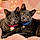 Baby And Buddy