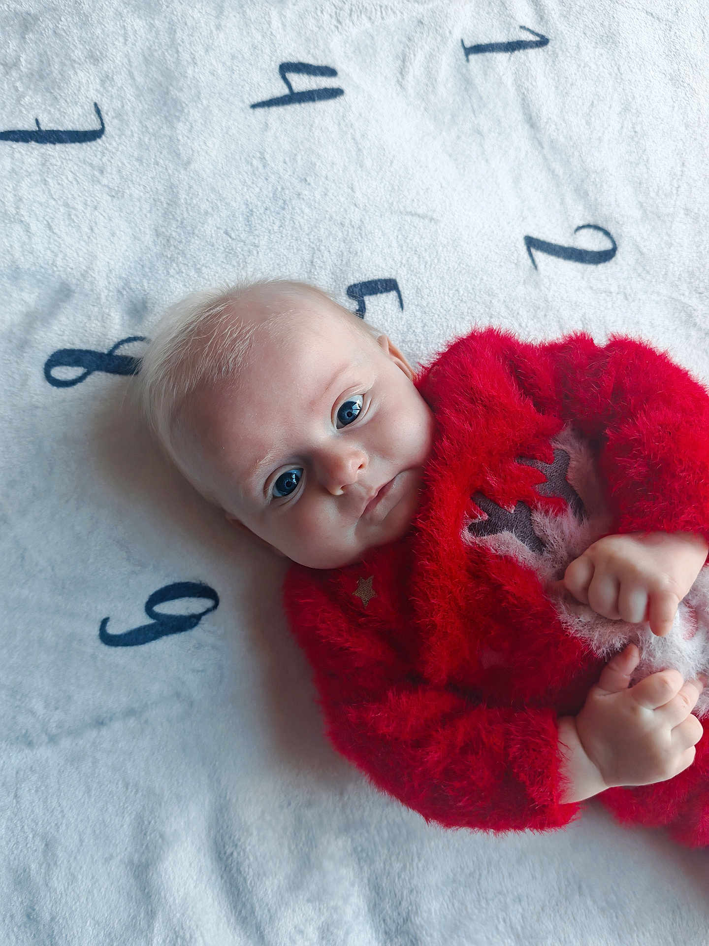 Ambre participe au concours pour gagner de l'argent avec cette photo : baby, infant, child, blue_eyes, blonde_hair, red_sweater, reindeer_design, fuzzy_clothing, blanket, numbers, lying_down, hands, cute, portrait, indoors, soft_lighting, cozy, curious_expression, close_up, face