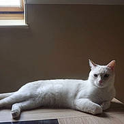 Hailey a rejoint le concours — aidez-le/la à gagner de superbes lots !