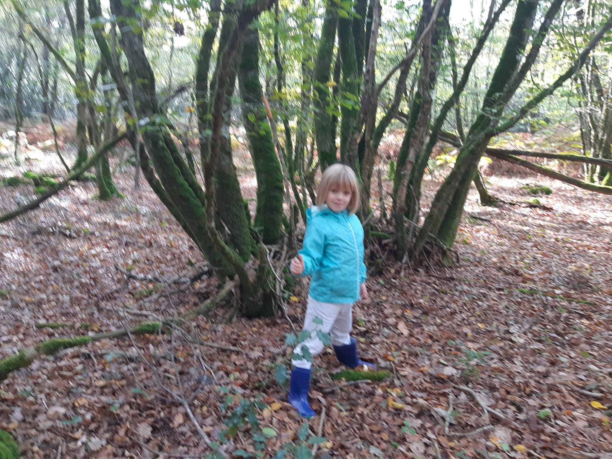 Alizeee participe au concours pour gagner de l'argent avec cette photo : branch, deciduous, electric_blue, forest, grass, joy, jungle, leisure, natural_landscape, people_in_nature, person, plant, recreation, soil, temperate_broadleaf_and_mixed_forest, terrestrial_plant, toddler, trail, tree, trunk