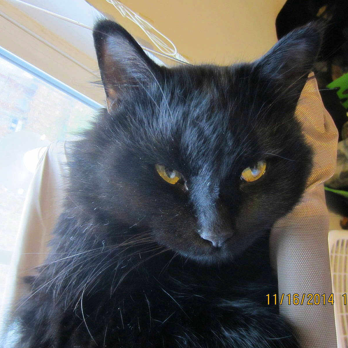 Jasper Noel is registered to the contest to win money with this photo: