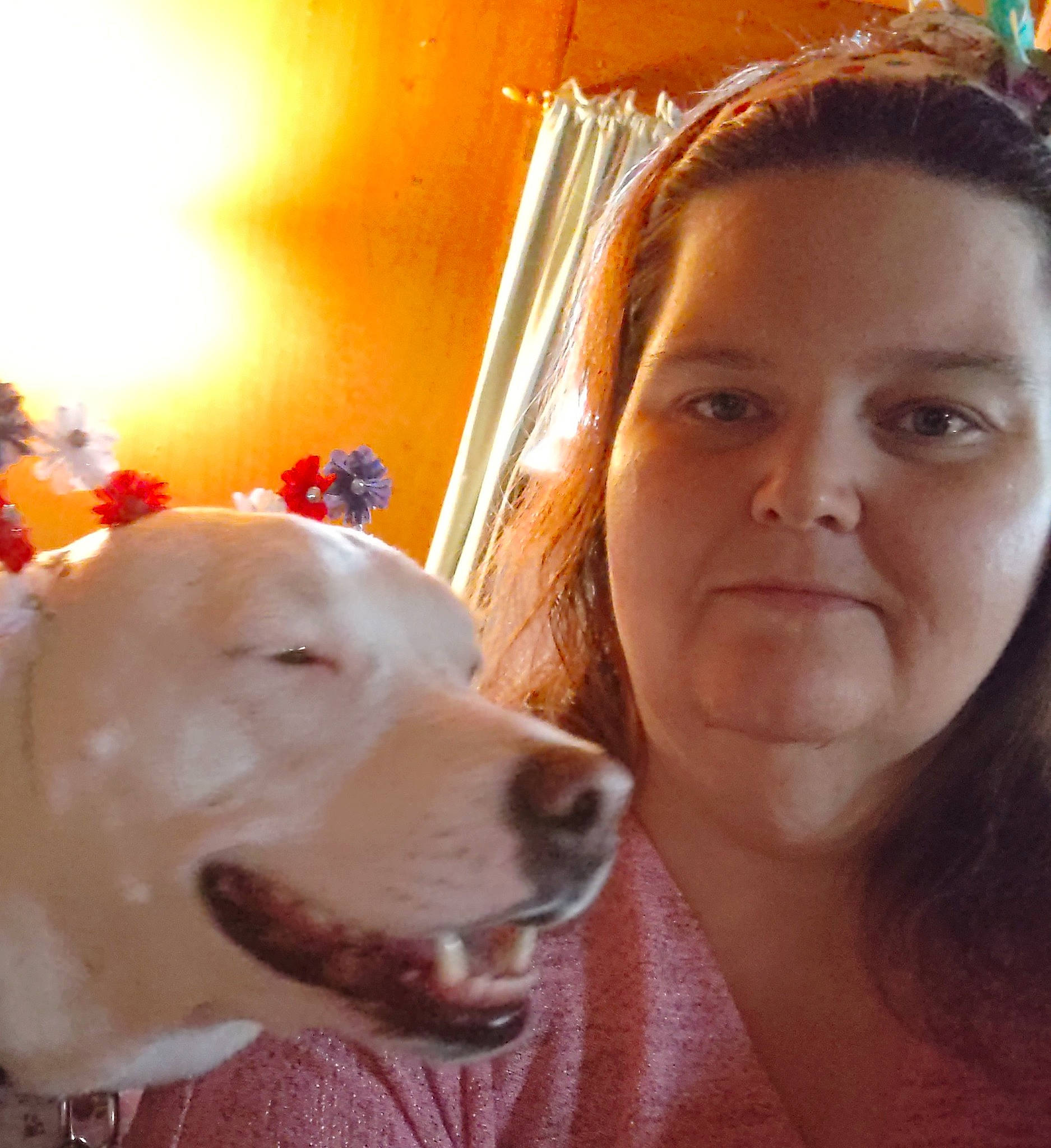 Sugar is registered to the contest to win money with this photo: carnivore, companion_dog, dog, dog_breed, ear, eyelash, eyewear, fawn, fun, gesture, happy, jaw, long_hair, mouth, nose, organ, selfie, snout, whiskers, working_animal