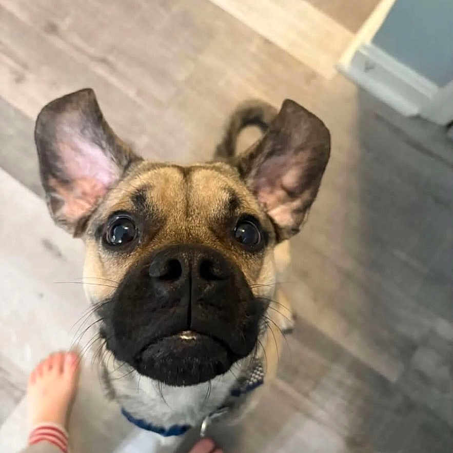 Cooper