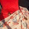 Victoria a rejoint le concours — aidez-le/la à gagner de superbes lots ! animal, blanket, brown_fur, couch, cozy, dog, floral_pattern, home, indoors, peeking, pet, phone_screenshot, portrait, quilt, red_cushion, sleeping_area, small_dog, sofa, status_bar, warm_lighting