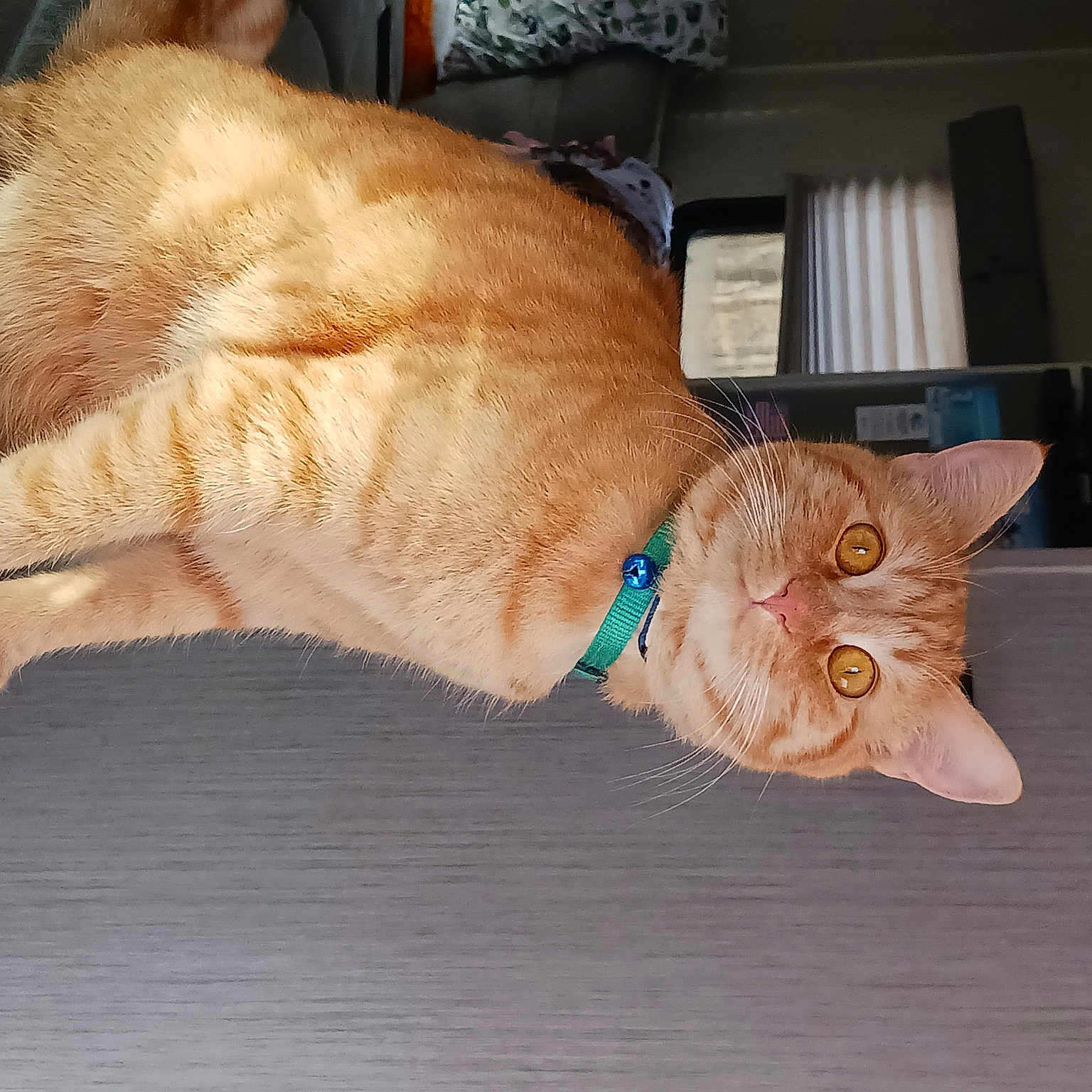 Oliver Jack