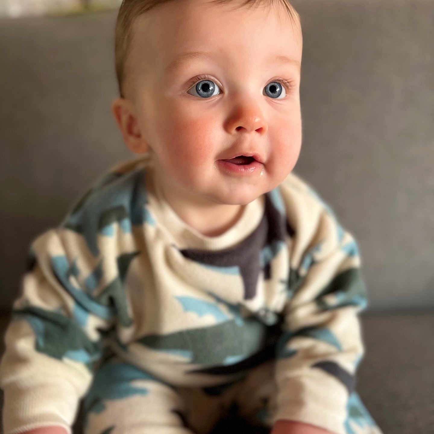Olan