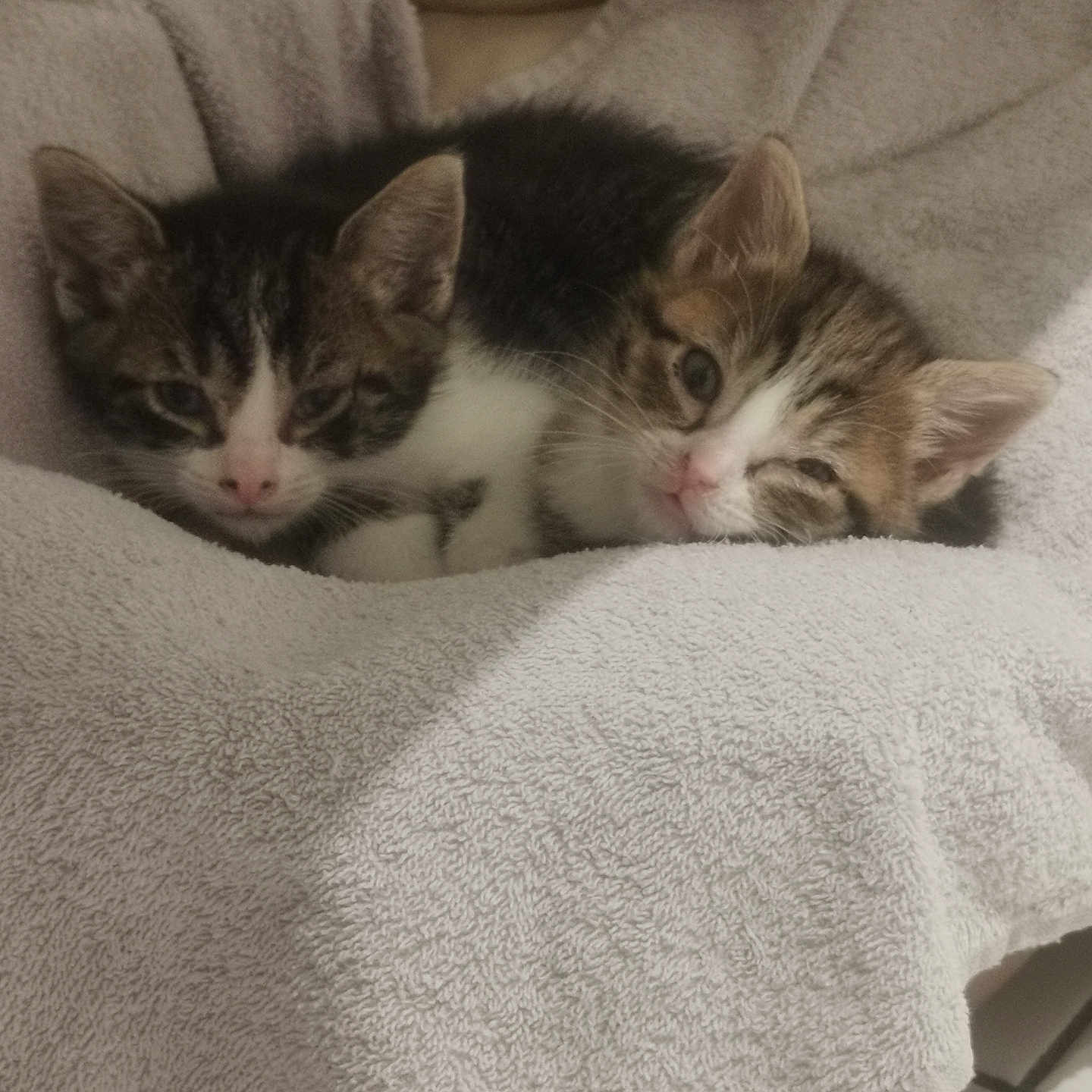 Lucien Et Lucienne