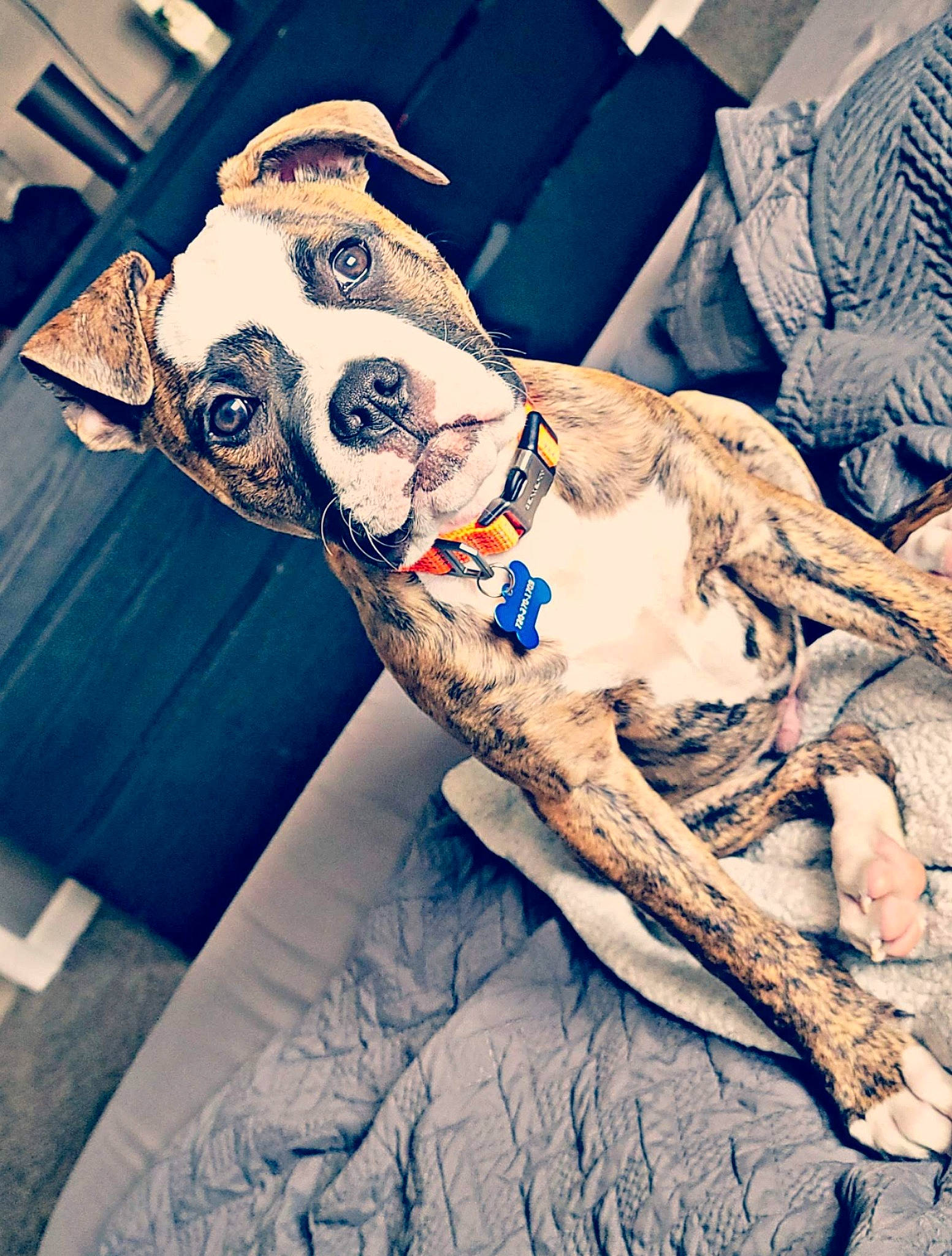 Axl is registered to the contest to win money with this photo: bed_sheet, bedding, bedroom, comfort, couch, elbow, electric_blue, flesh, human_leg, linens, pattern, pillow, room, sleeve, t_shirt, tattoo, thigh, visual_arts, wood, wrist