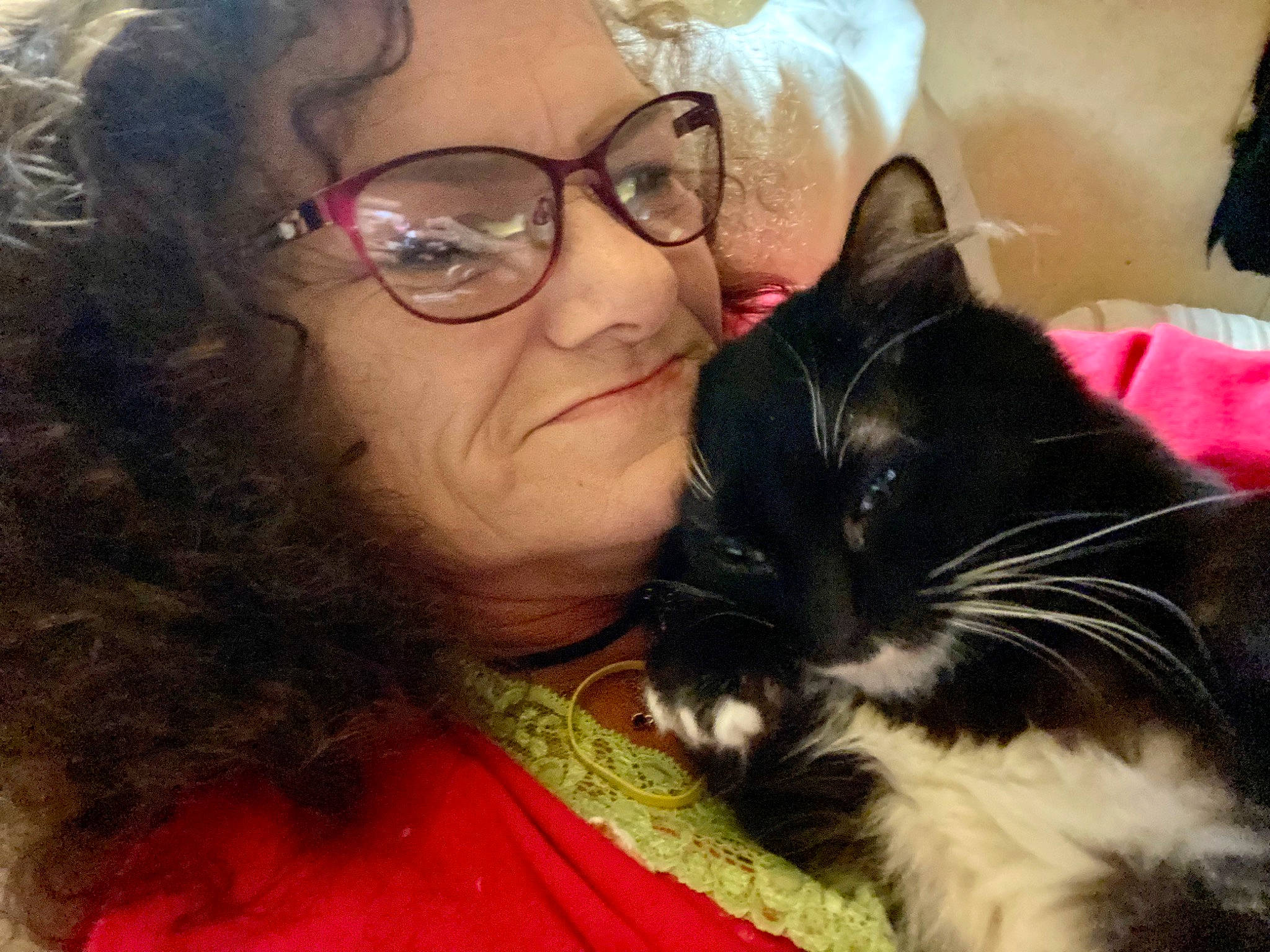 Bear Bear joined the competition — help win amazing prizes! black_hair, carnivore, cat, comfort, domestic_short_haired_cat, ear, eyewear, felidae, fur, glasses, happy, iris, lap, nose, skin, small_to_medium_sized_cats, smile, snout, vision_care, whiskers