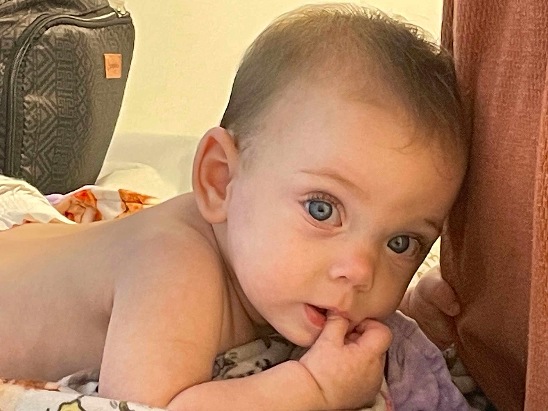 Ivy is registered to the contest to win money with this photo: baby, child, infant, skin, face, eyes, hand, blanket, lying, tummy, curious, indoors, soft, cozy, expression, cute, person, young, closeup, portrait