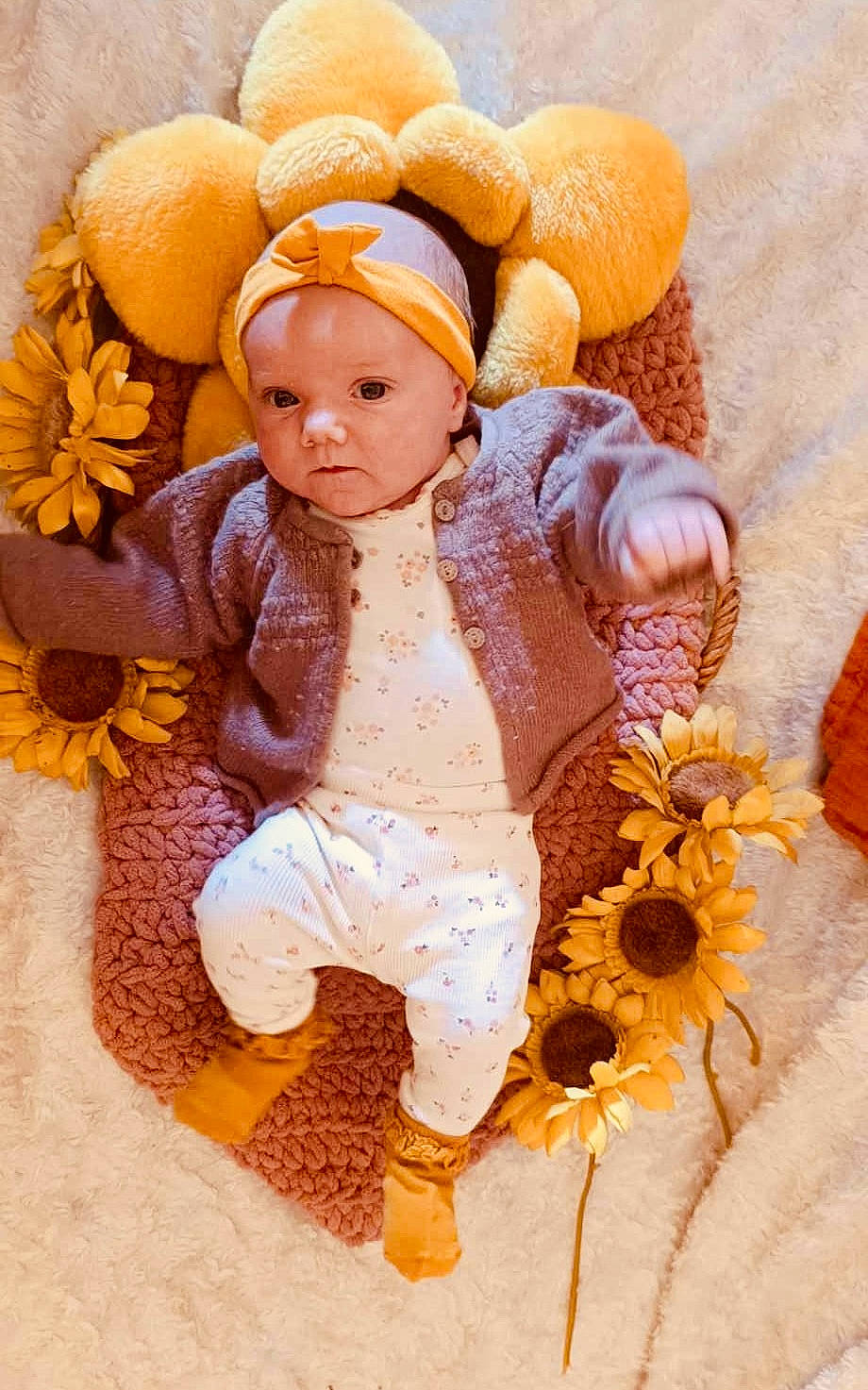 Dalia a rejoint le concours — aidez-le/la à gagner de superbes lots ! art, baby, baby_products, baby_sleeping, baby_toddler_clothing, calabaza, child, flower, happy, headband, orange, pattern, peach, people_in_nature, person, pumpkin, sitting, stuffed_toy, toddler, winter_squash