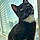 Loki