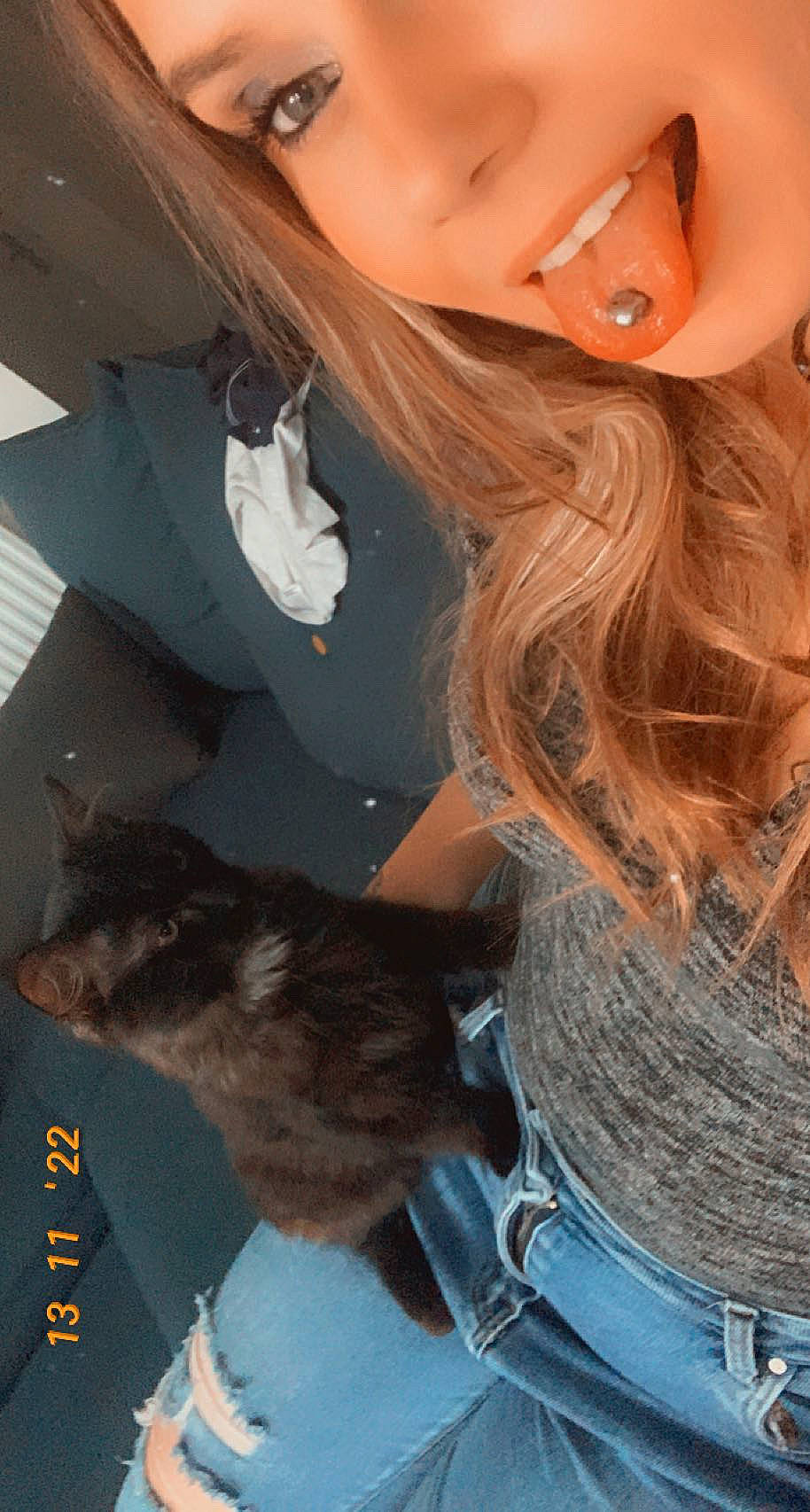 Shadow participe au concours pour gagner de l'argent avec cette photo : black_hair, carnivore, cat, cool, ear, eyebrow, eyelash, facial_expression, fawn, felidae, flash_photography, gesture, hairstyle, iris, lip, mouth, neck, nose, organ, skin