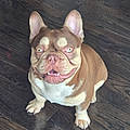Nalla M.