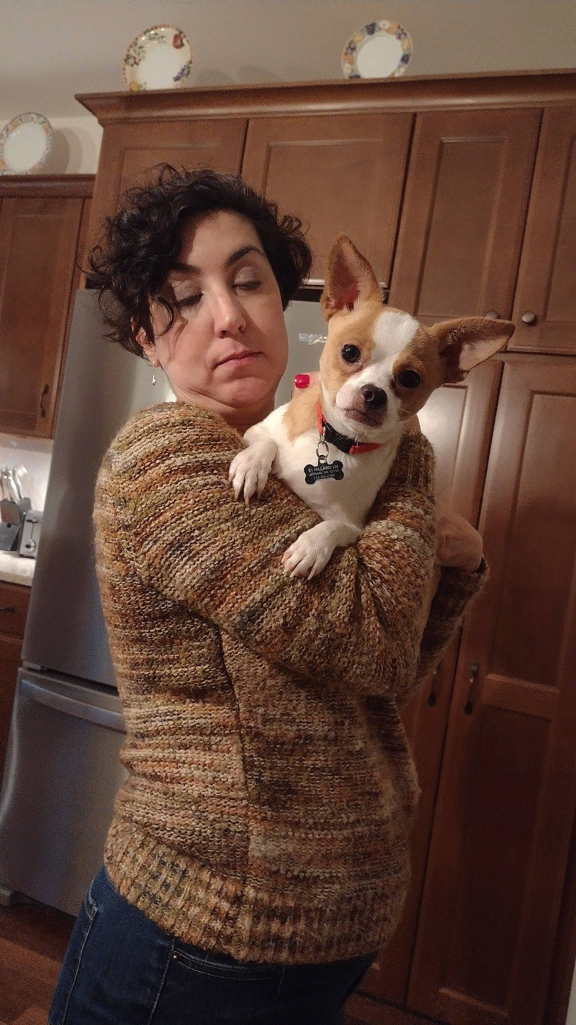 Meeko is registered to the contest to win money with this photo: cabinetry, canidae, carnivore, comfort, companion_dog, dog, dog_breed, door, ear, eyewear, fawn, fur, head, home_appliance, pattern, sitting, snout, sporting_group, toy_dog, whiskers