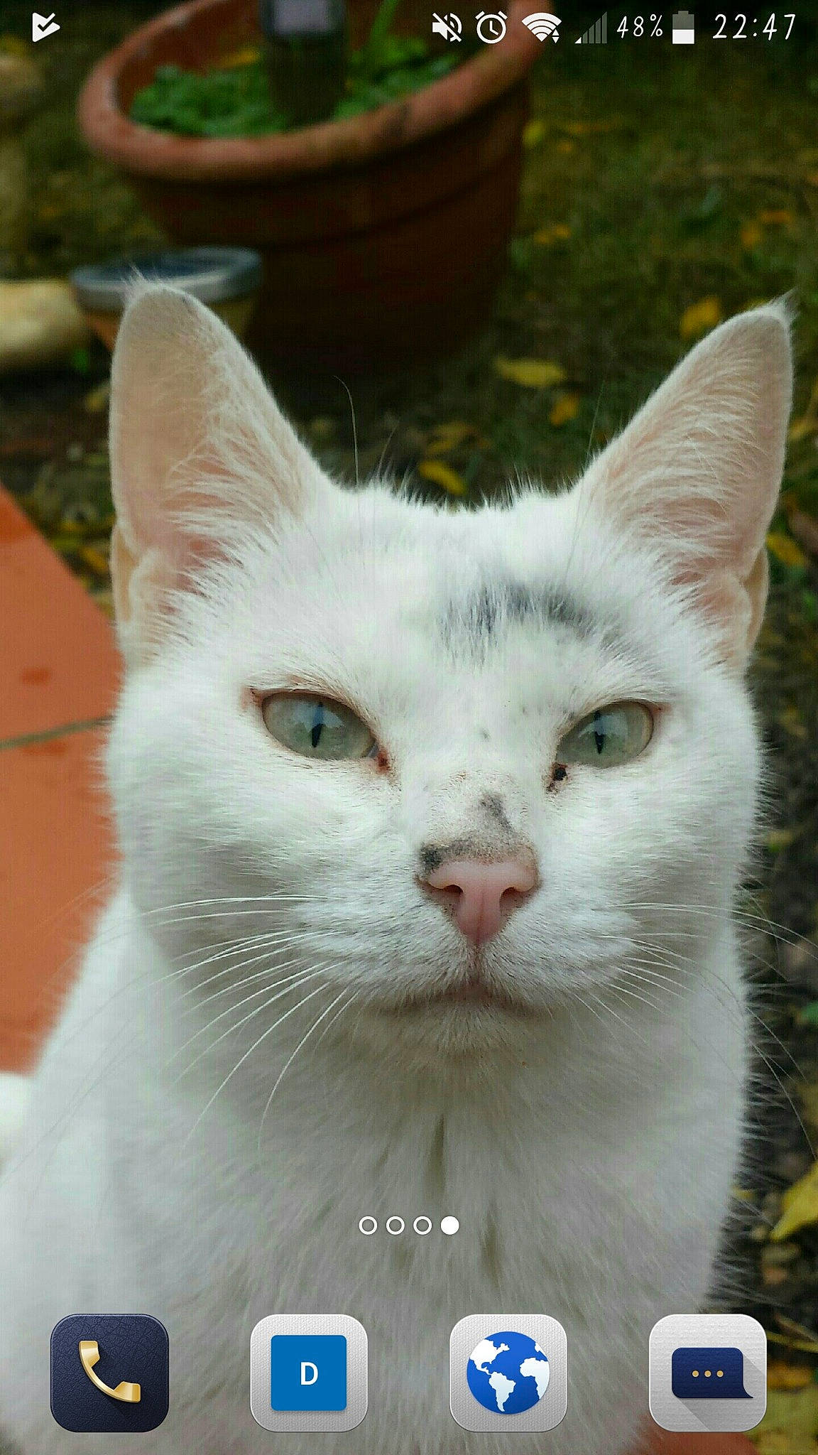 Patatou