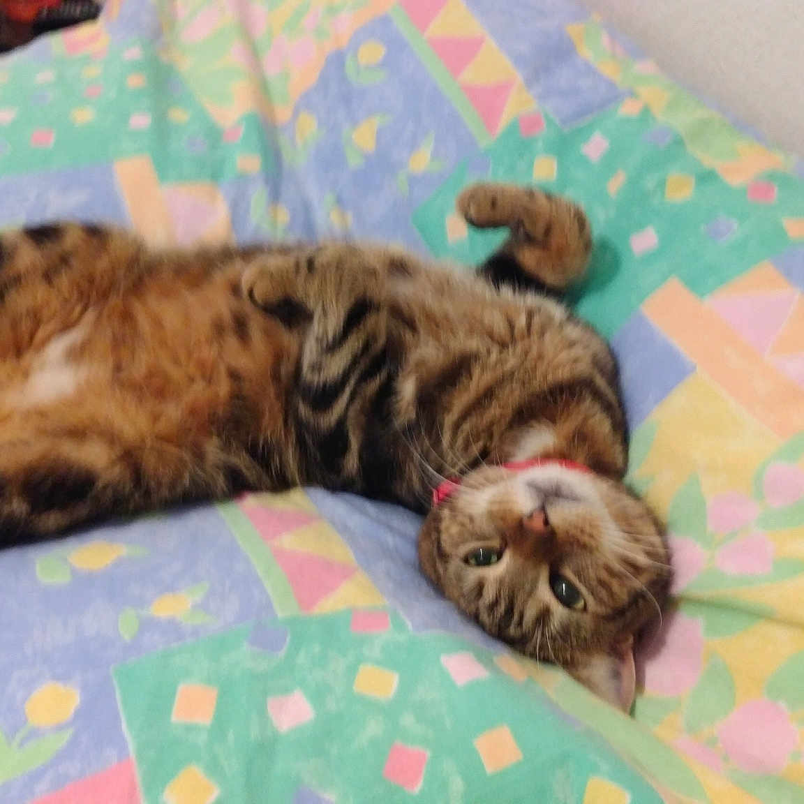 Tigrou