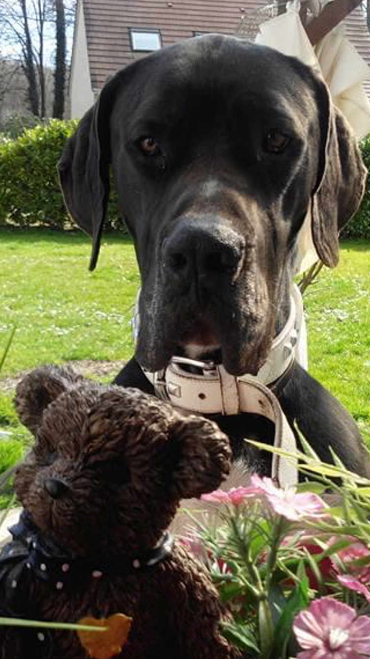 Goliath