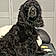 Artus