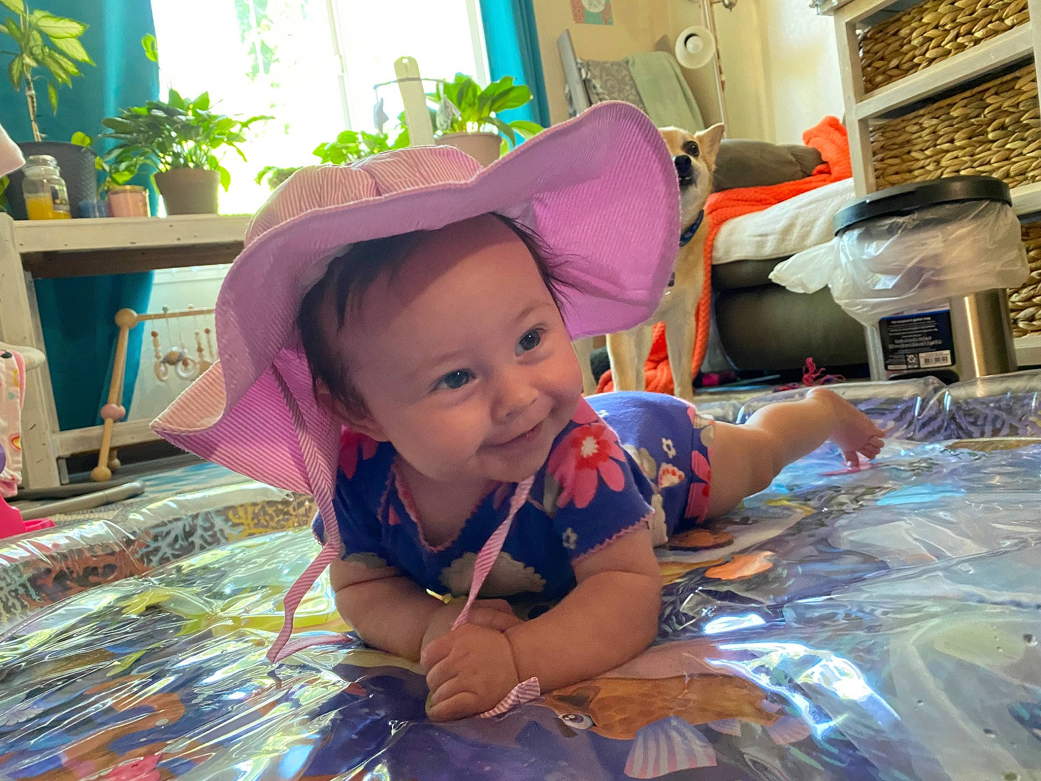 Kensley joined the competition — help win amazing prizes! baby, baby_toddler_clothing, cap, child, electric_blue, event, fashion_accessory, fun, happy, hat, houseplant, leisure, person, plant, play, purple, recreation, sun_hat, toddler, violet