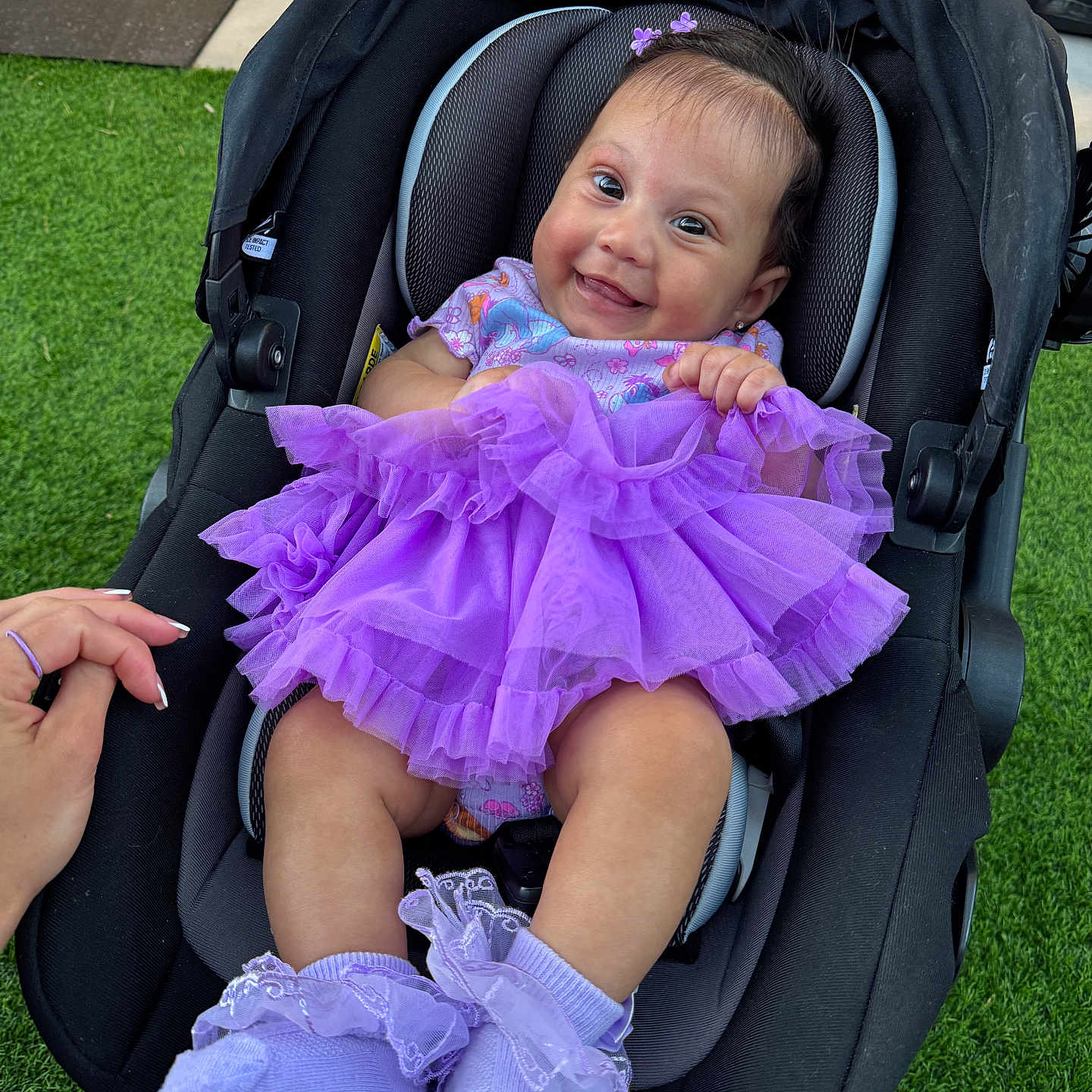 Alaia