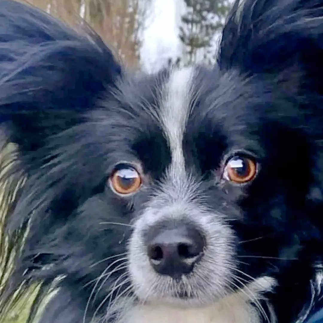Jack