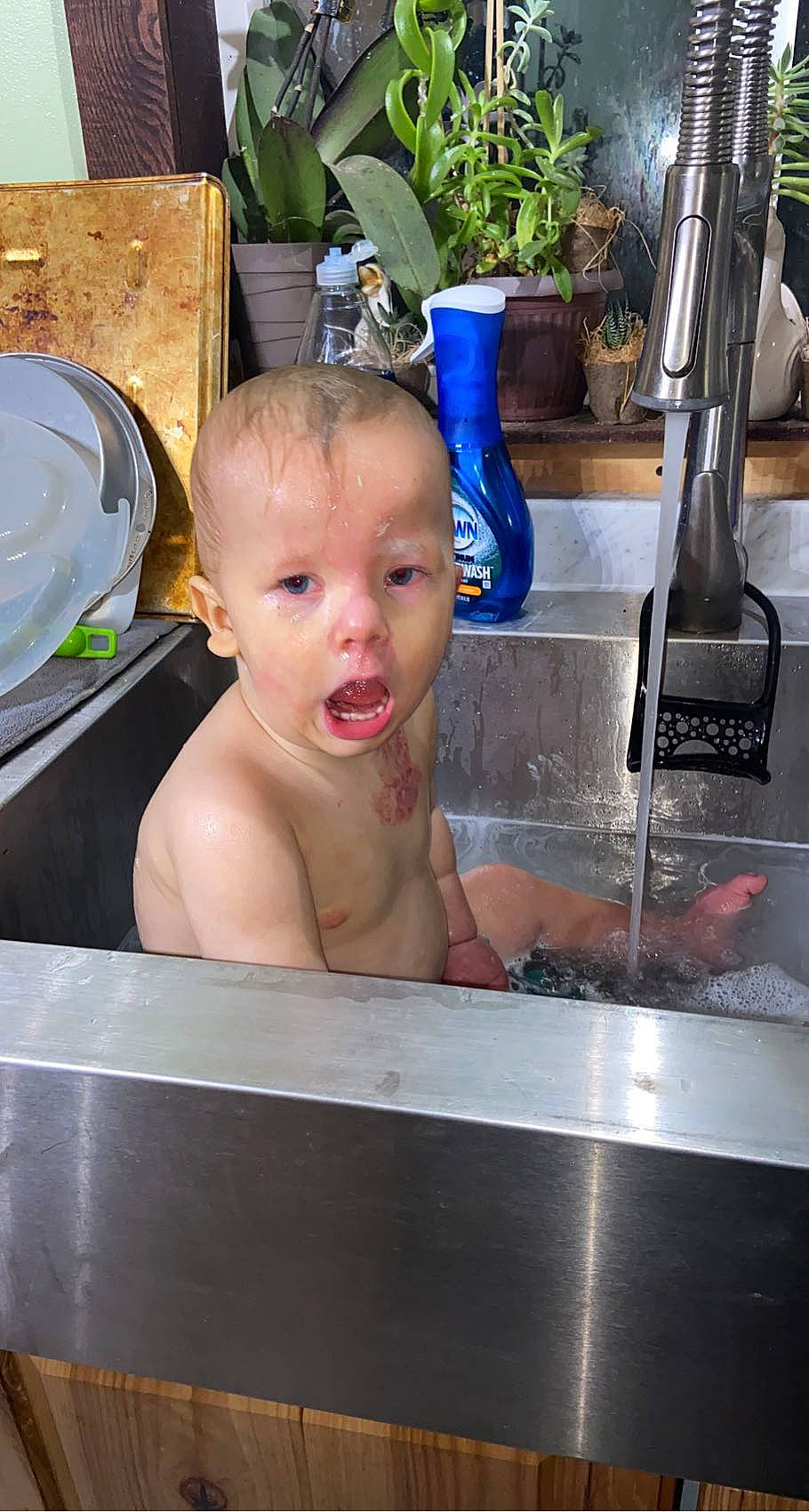 Keizer is registered to the contest to win money with this photo: baby, baby_products, barechested, bathing, blurred, chest, child, finger, flowerpot, fun, gas, glass, houseplant, leisure, person, personal_care, plant, sitting, thumb, toddler