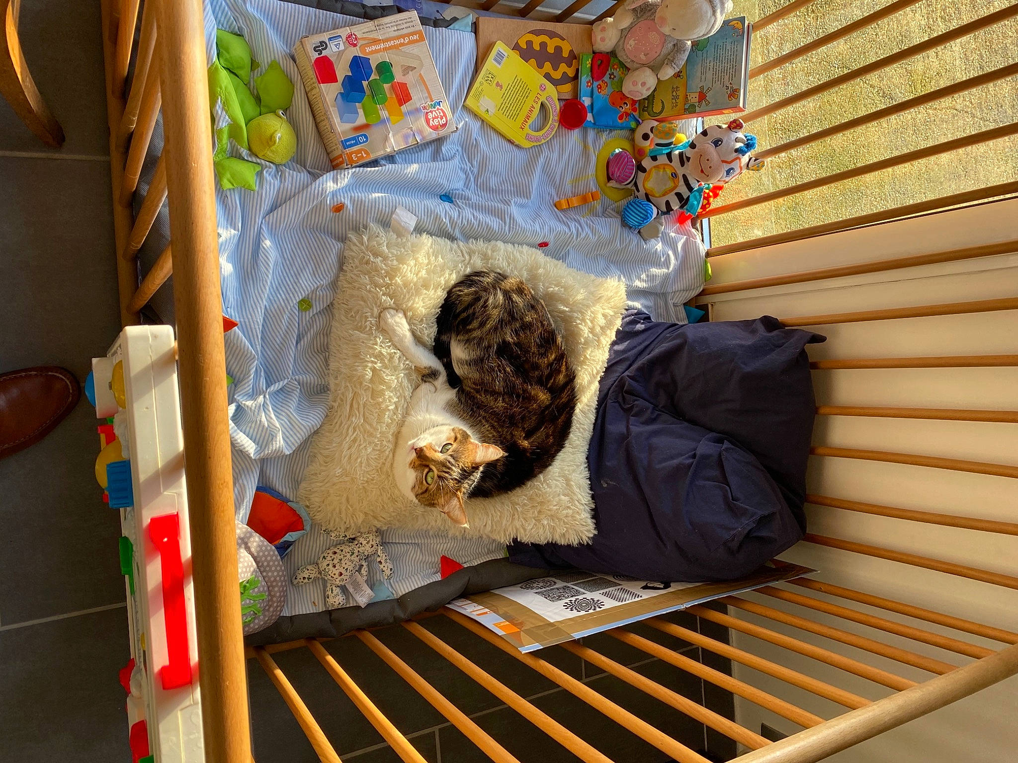 Plumo participe au concours pour gagner de l'argent avec cette photo : art, box, comfort, flooring, leisure, packing_materials, pattern, plastic, room, textile, visual_arts, wood, yellow