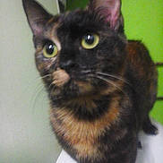 Baghéra a rejoint le concours — aidez-le/la à gagner de superbes lots !