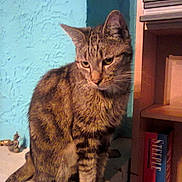 Pilou participe au concours pour gagner de l'argent avec cette photo :