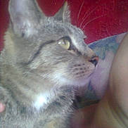 Pilou a rejoint le concours — aidez-le/la à gagner de superbes lots !