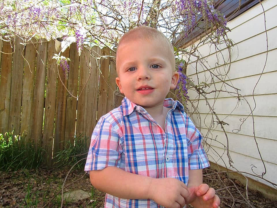 Zaiden is registered to the contest to win money with this photo: child, grass, person, plant, smile, toddler, yard