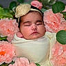 Riley is registered to the contest to win money with this photo: baby, flower_headband, blanket, pink_flowers, green_leaves, sleeping, portrait, infant, cute, soft_texture, closeup, peaceful, newborn, wrapped, flora, natural, adorable, calm, head, resting