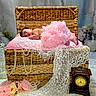 baby, sleeping, pink_tutu, woven_basket, lace, pearls, flowers, antique_clock, soft_lighting, nursery, decor, portrait, child, peaceful, indoors, cute, resting, delicate, fabric, still_life