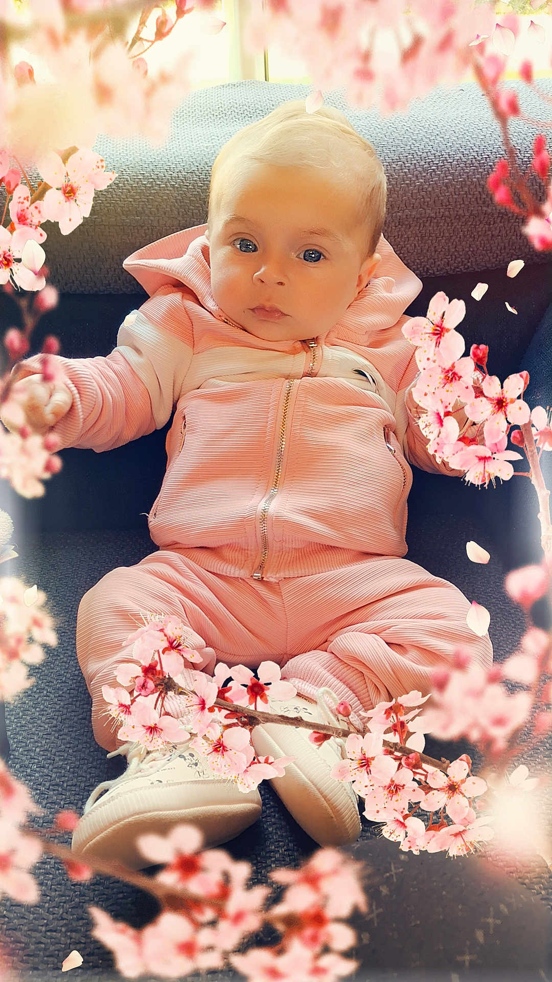Lyna a rejoint le concours — aidez-le/la à gagner de superbes lots ! baby, child, pink_outfit, hoodie, sneakers, couch, indoor, portrait, face, blonde_hair, blue_eyes, cherry_blossoms, flower_overlay, soft_lighting, casual_clothing, sitting, cute, infant, closeup, cozy