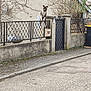alley, animal, architecture, building, canine, city, dog, gate, hound, husky, outdoors, path, person, pet, road, street, tarmac, urban, walkway, wall