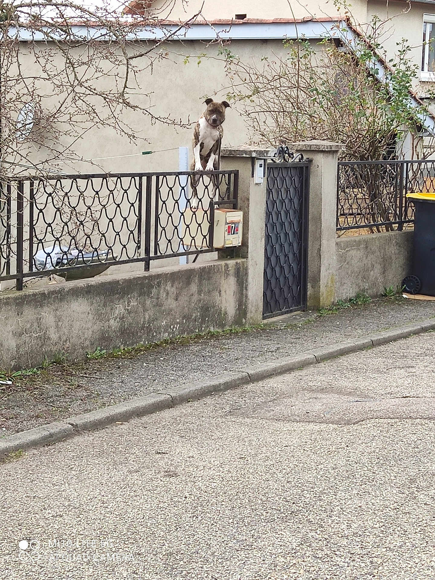 Alès