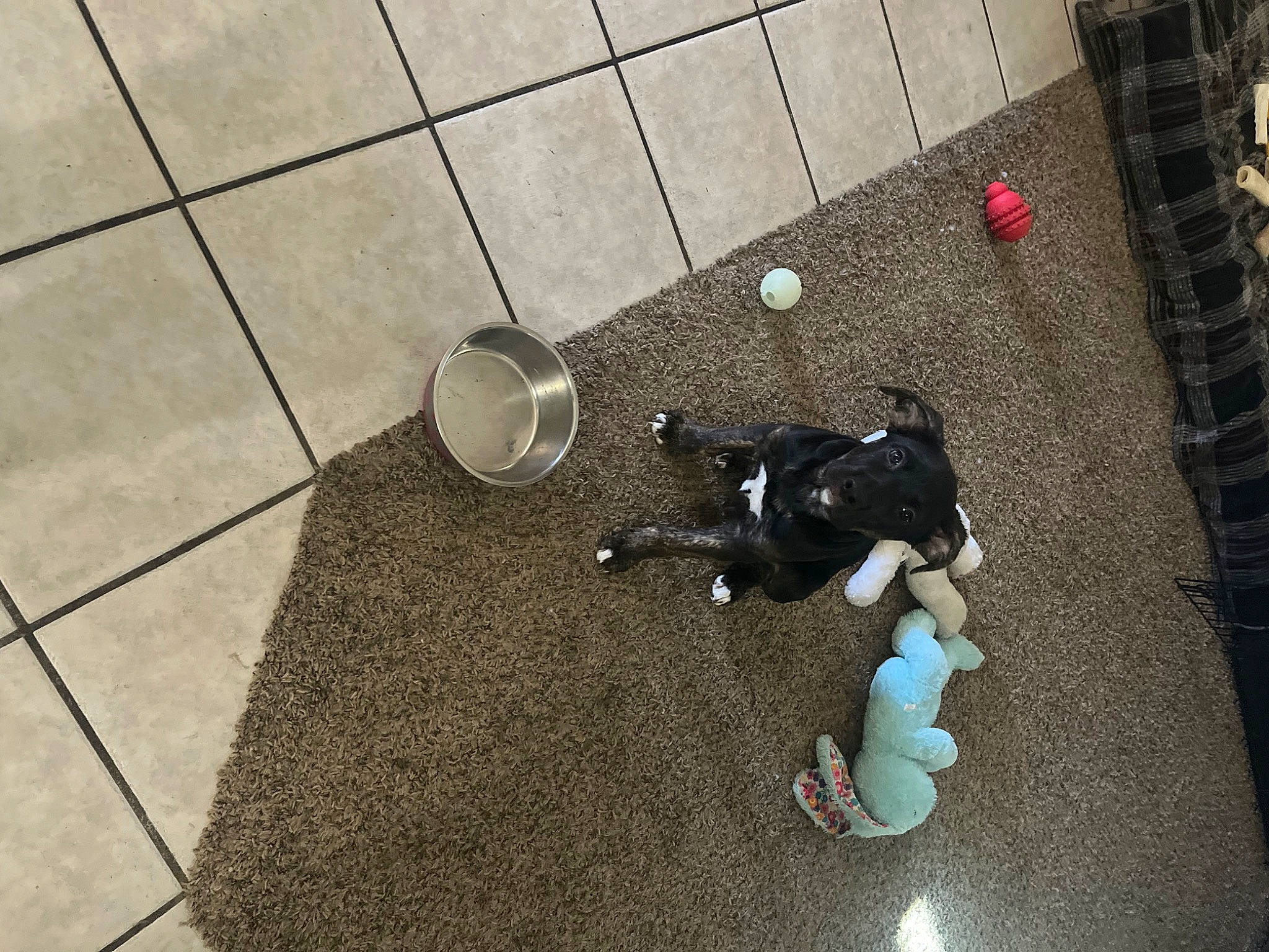 Moose joined the competition — help win amazing prizes! asphalt, chair, circle, city, concrete, fashion_accessory, floor, flooring, human_leg, pattern, road, road_surface, room, shadow, sidewalk, sitting, soil, street, tints_and_shades, wall