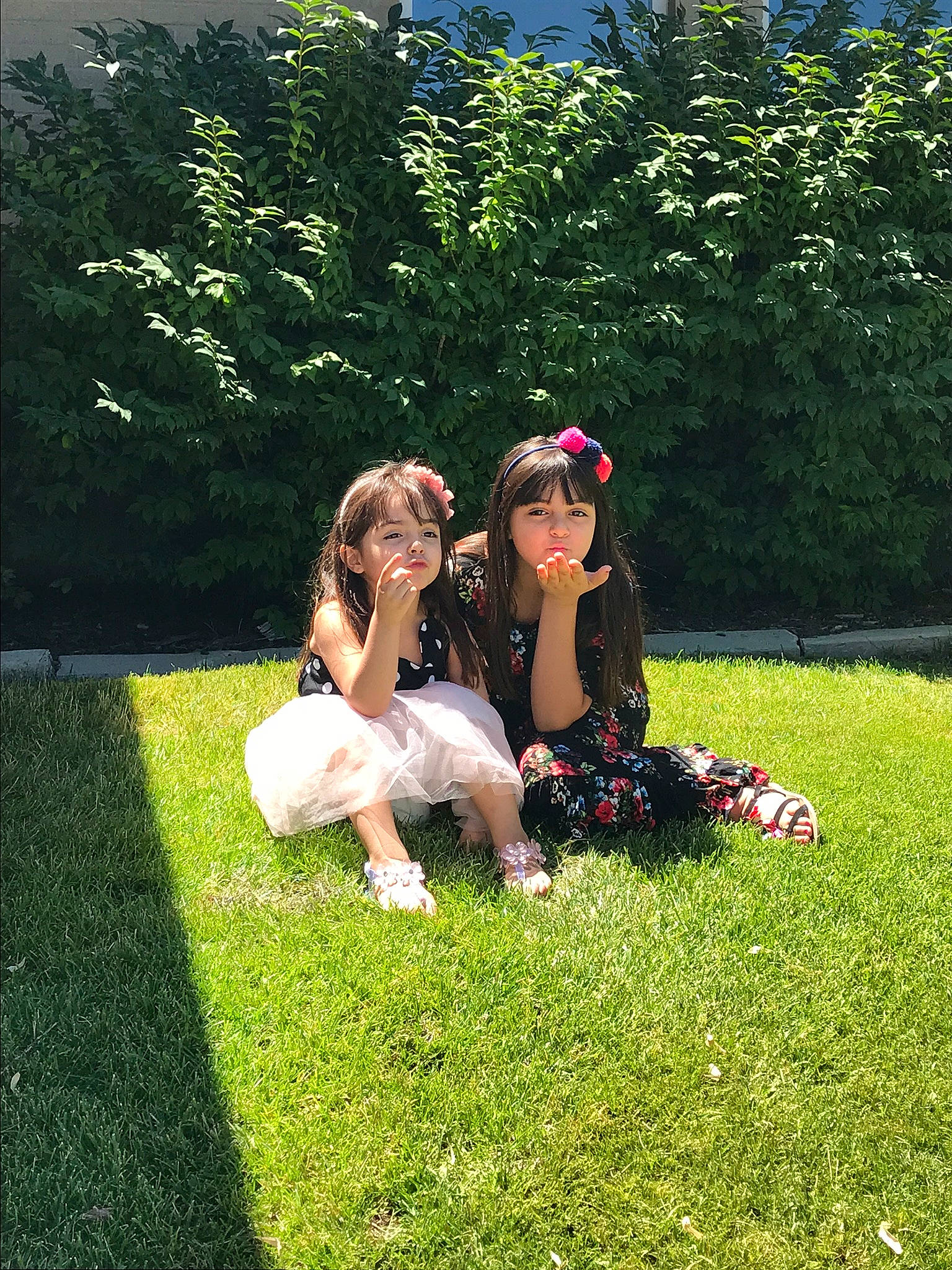 Estephania joined the competition — help win amazing prizes! botany, fun, garden, grass, grass_family, happy, headwear, lawn, leaf, leisure, meadow, people_in_nature, person, photography, picnic, plant, recreation, shrub, spring, summer