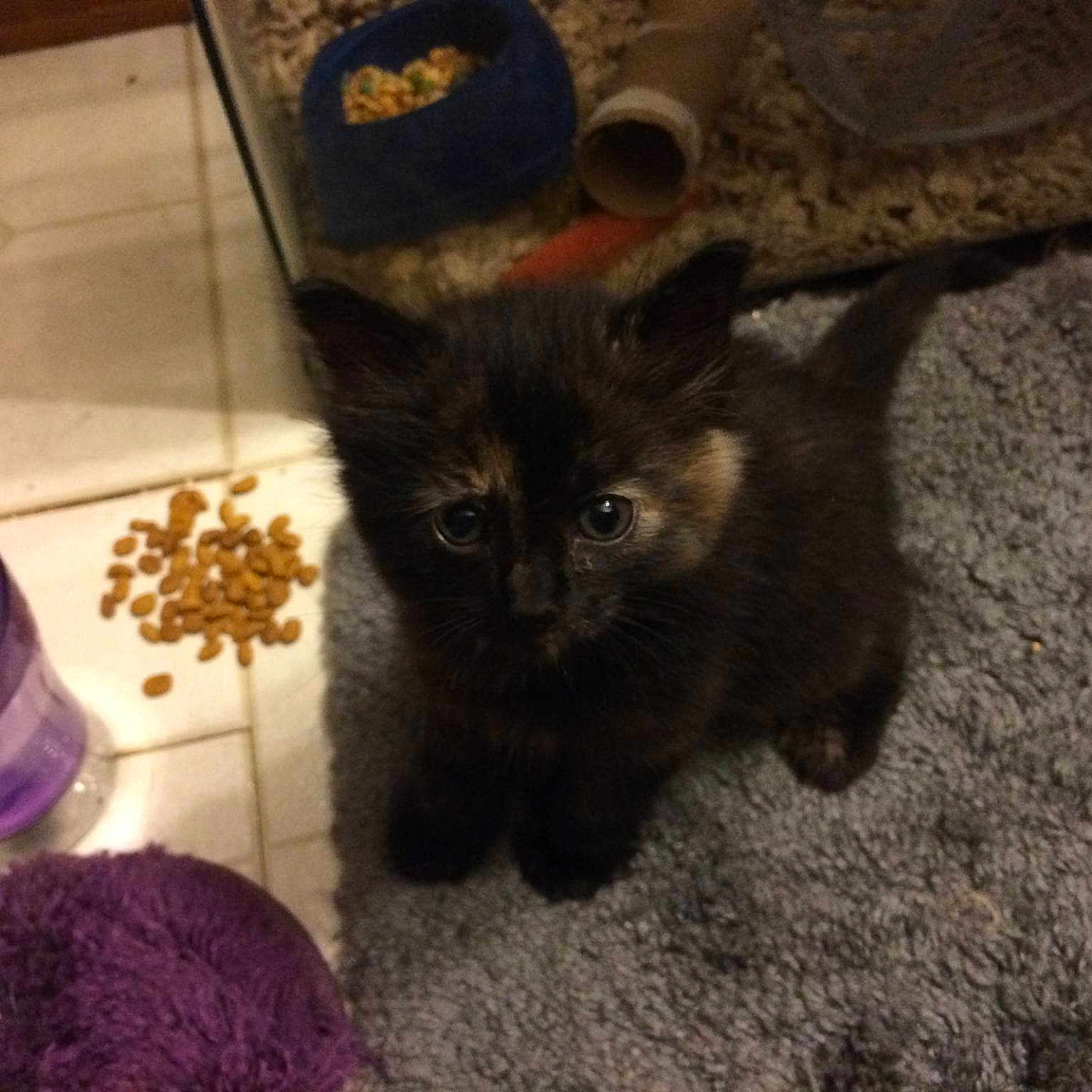 Molly