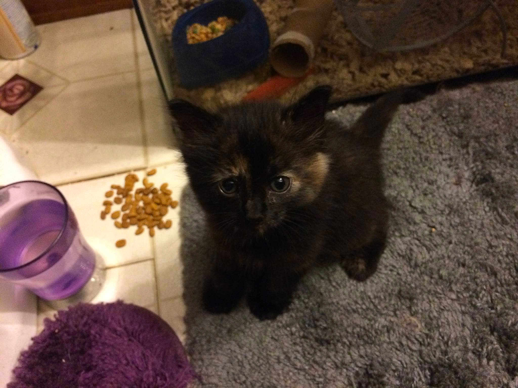 Molly