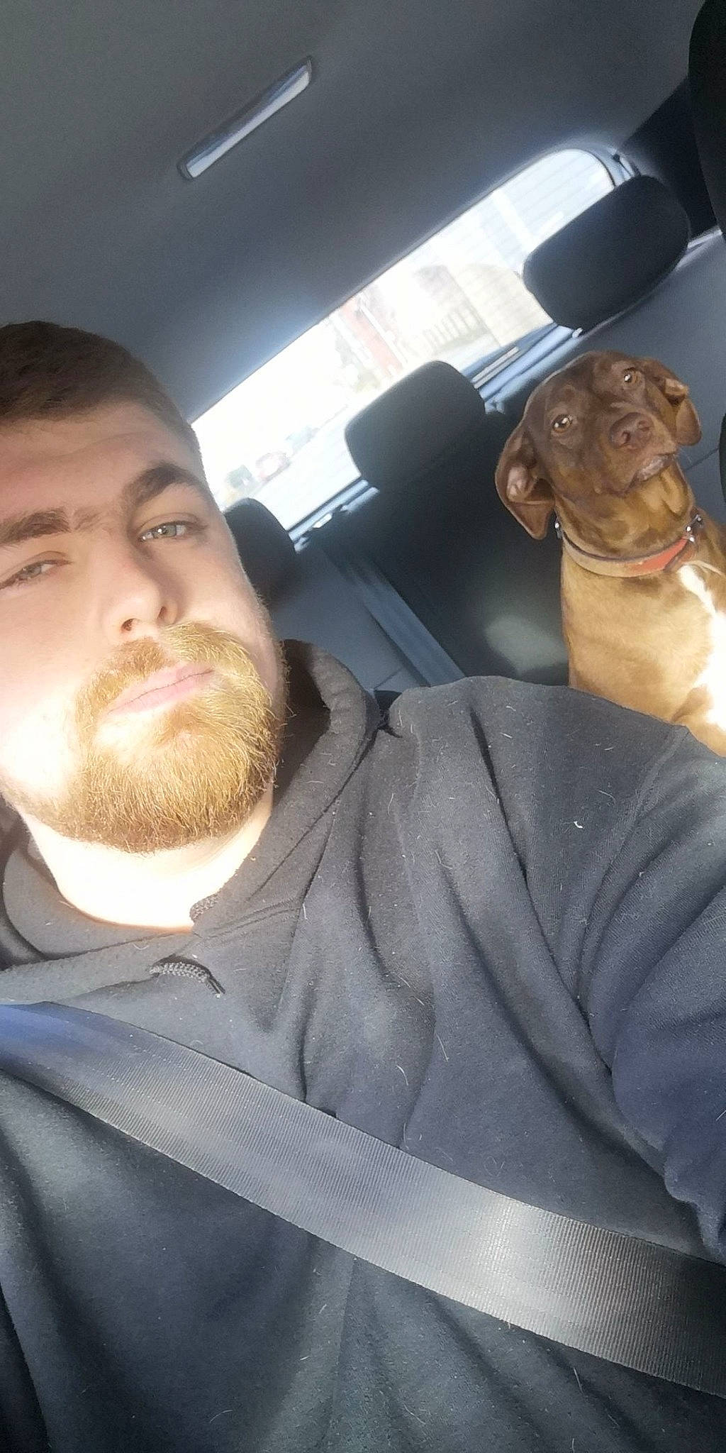 Aïka participe au concours pour gagner de l'argent avec cette photo : beard, facial_hair, head, jaw, mouth, photography, selfie